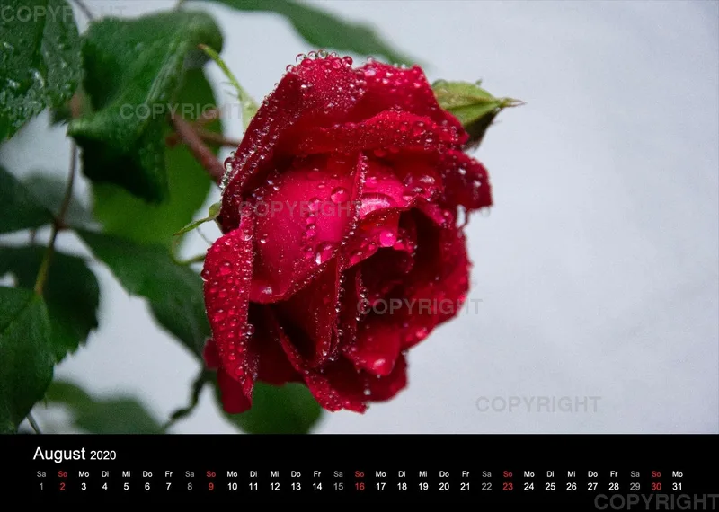 Naturkalender 2020