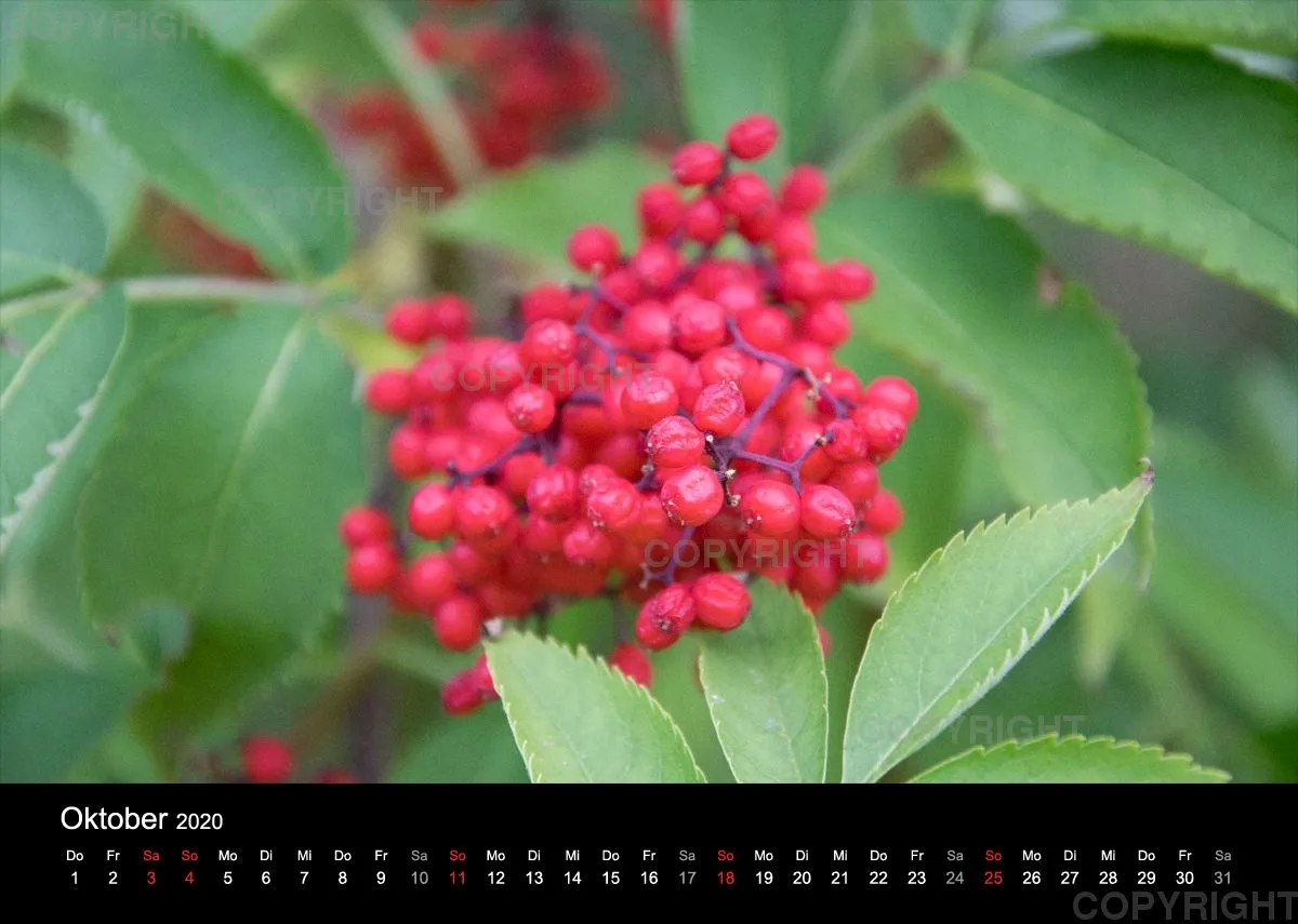 Naturkalender 2020