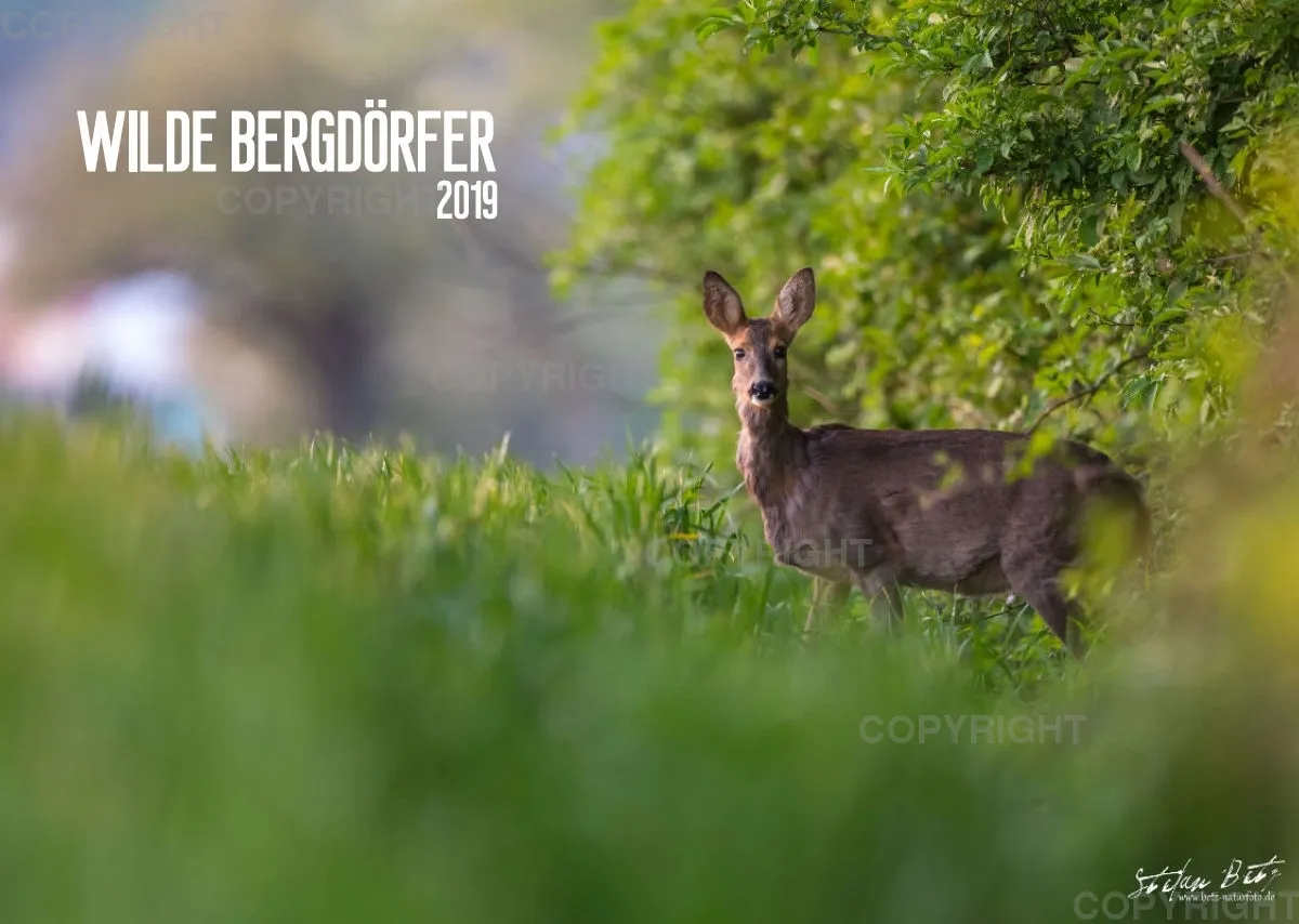 Wilde Bergdörfer