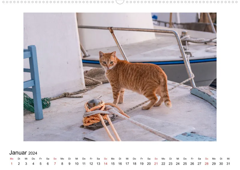 Die Katzen von Paros