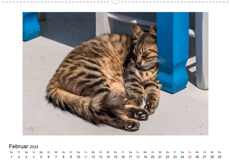 Die Katzen von Paros