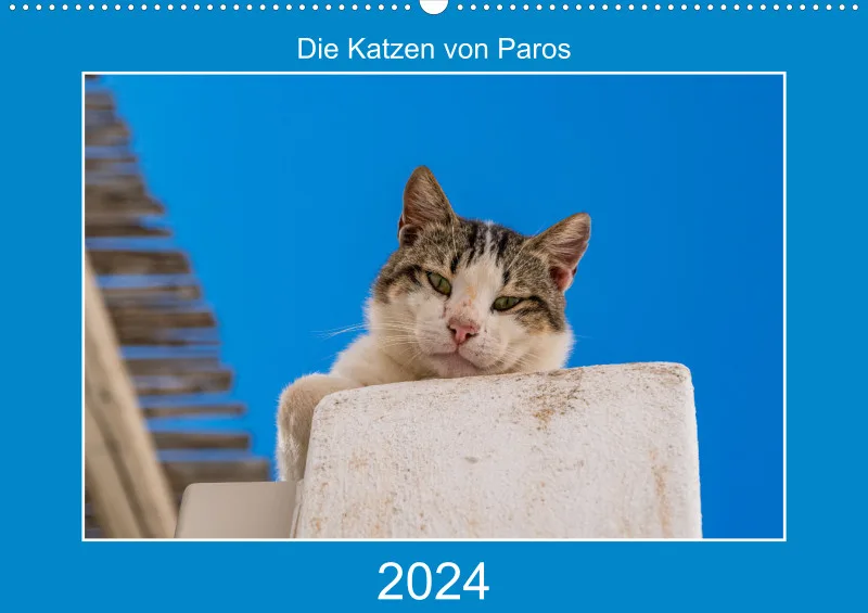 Die Katzen von Paros