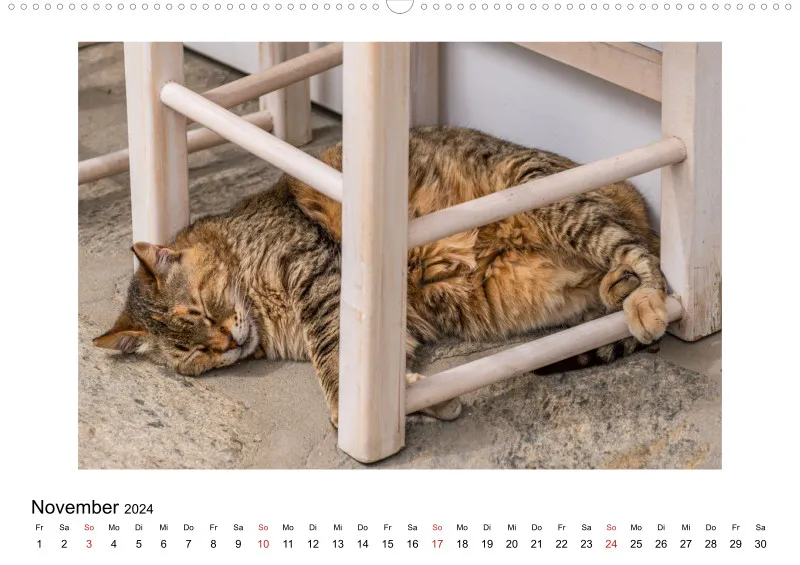 Die Katzen von Paros