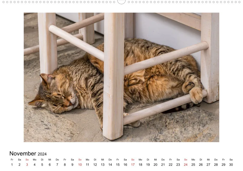 Die Katzen von Paros