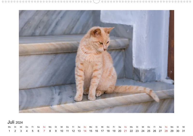 Die Katzen von Paros