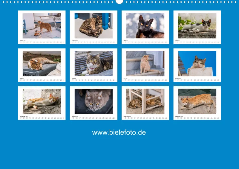 Die Katzen von Paros