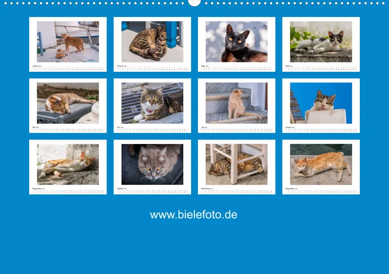 Die Katzen von Paros