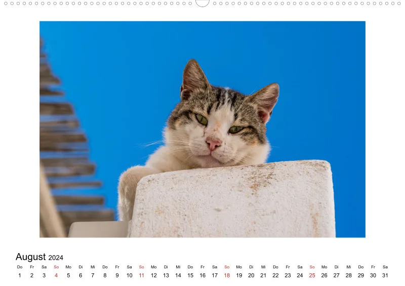 Die Katzen von Paros
