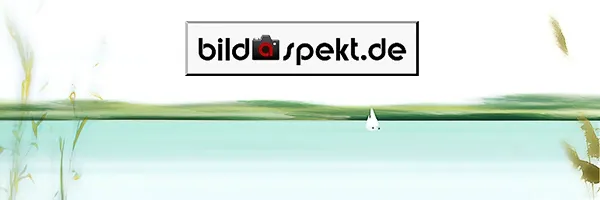 bildaspekt