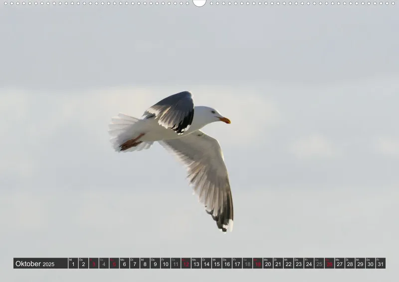 Nordseekalender 1 / A2