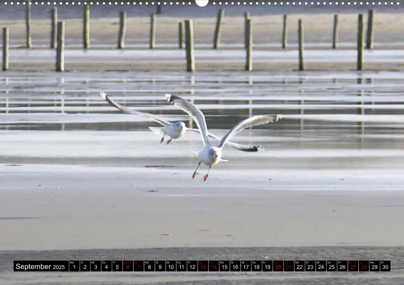 Nordseekalender 2 / A2