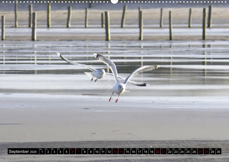 Nordseekalender 2 / A2