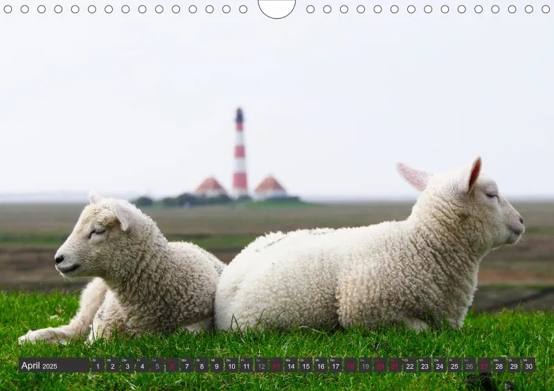Nordseekalender 1 / A4