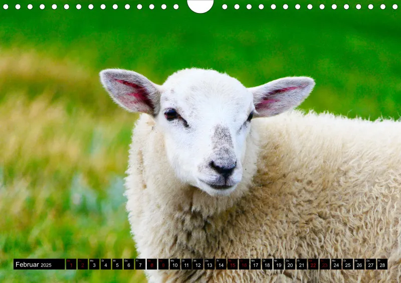 Nordseekalender 2 / A4