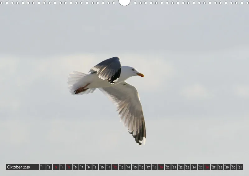 Nordseekalender 1 / A3