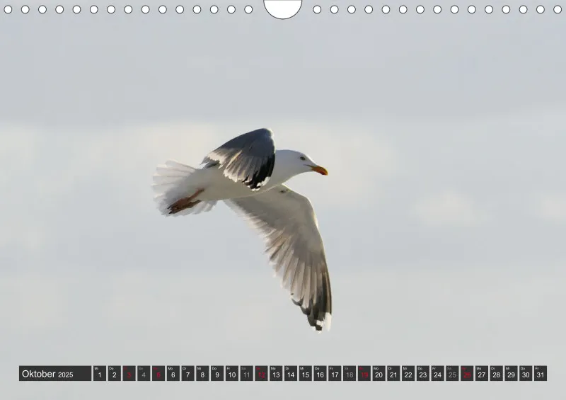 Nordseekalender 1 / A4