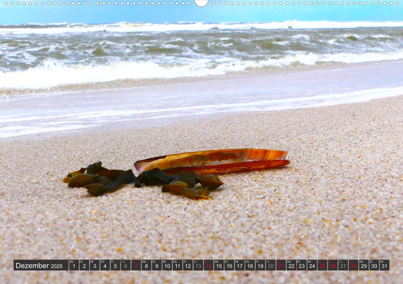 Nordseekalender 1 / A2