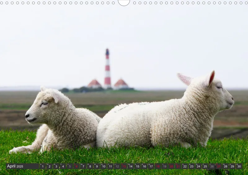Nordseekalender 1 / A3