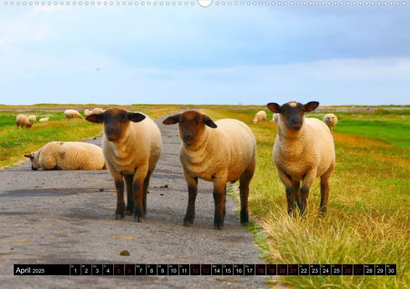 Nordseekalender 2 / A2