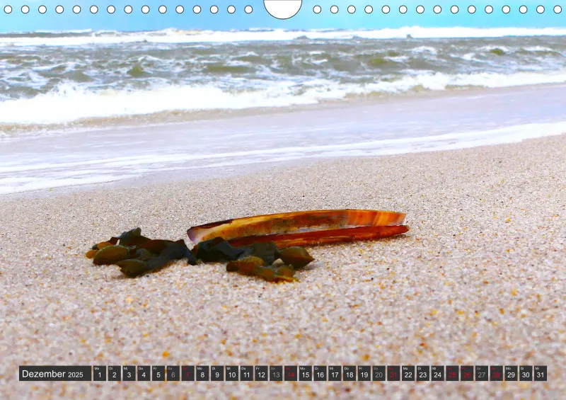 Nordseekalender 1 / A4