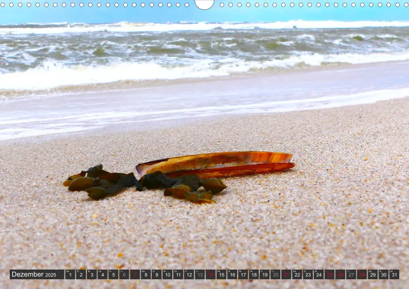 Nordseekalender 1 / A3