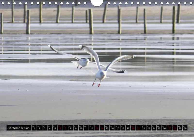Nordseekalender 2 / A4