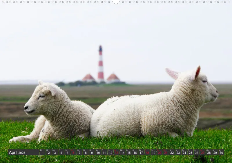 Nordseekalender 1 / A2