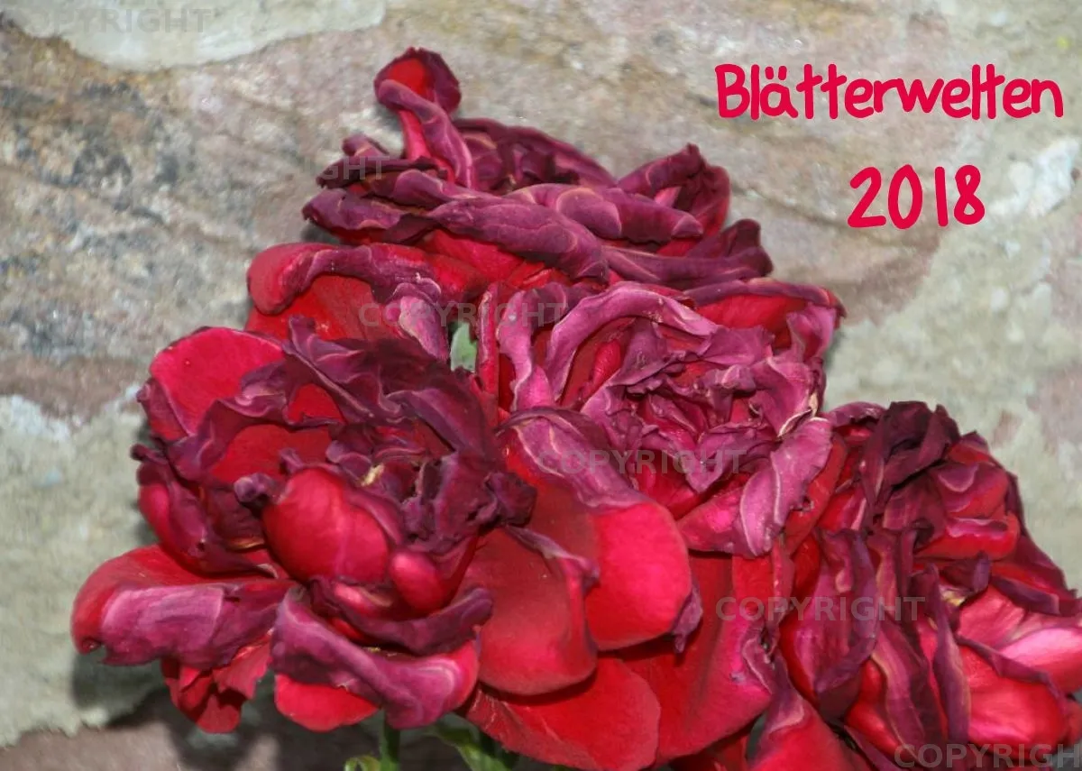 Blätterwelten 2018 A4