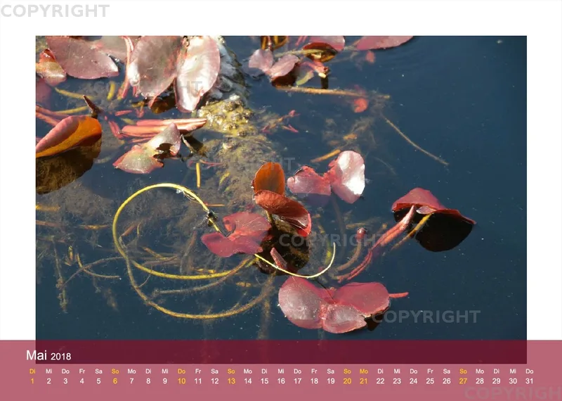 Blätterwelten 2018 A4