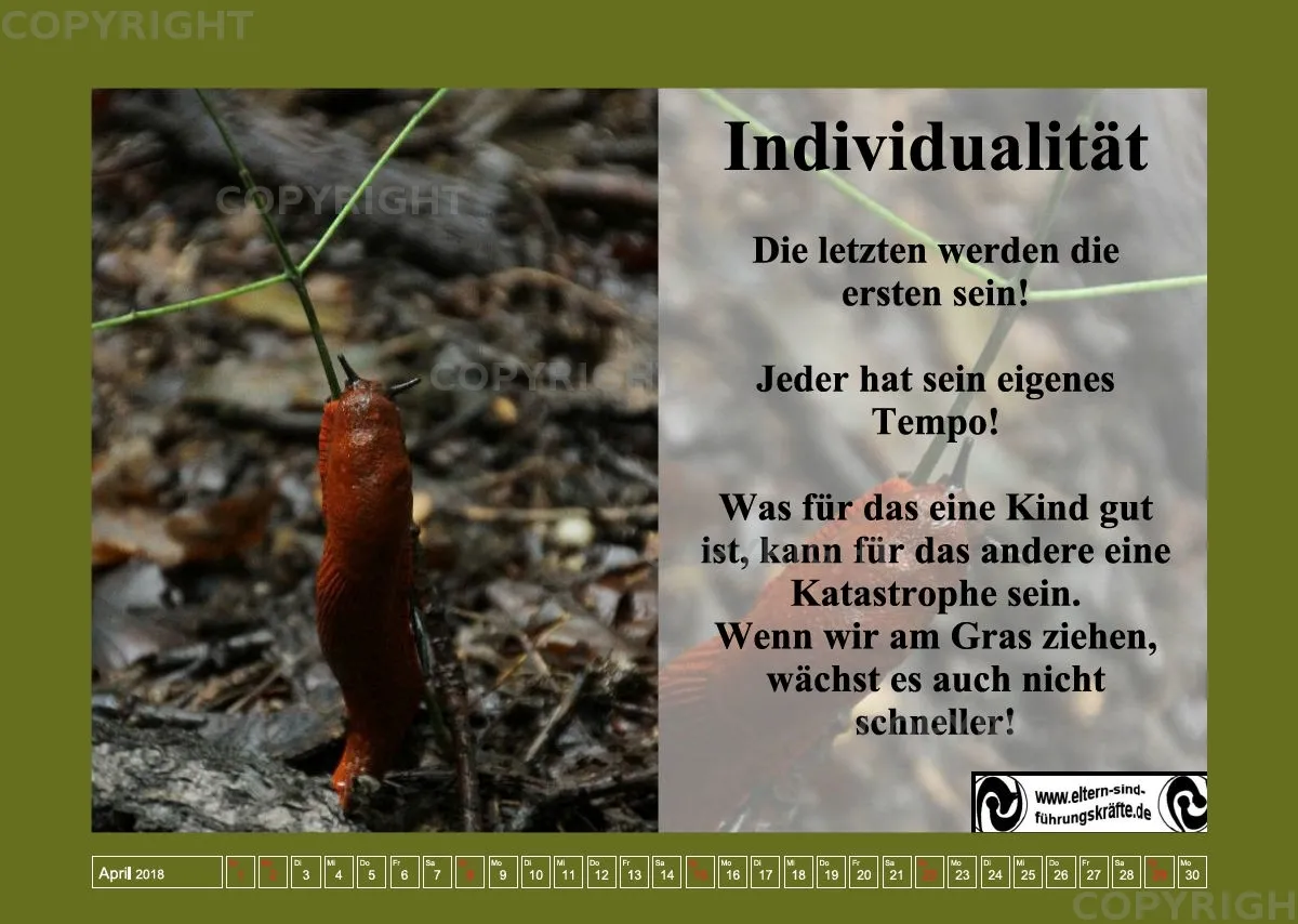 Kinderwelten 2018 A3