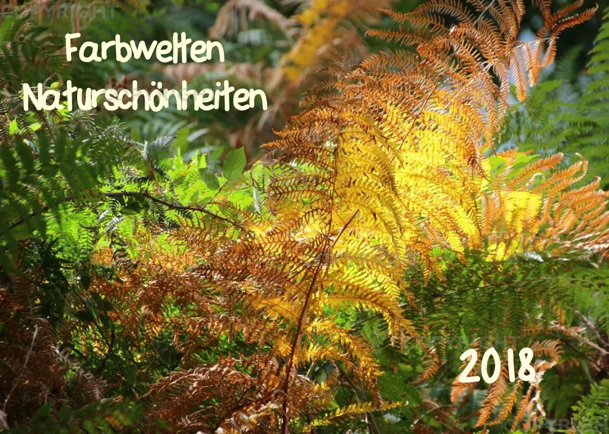 Farbwelten Naturschönheiten 2018 A4