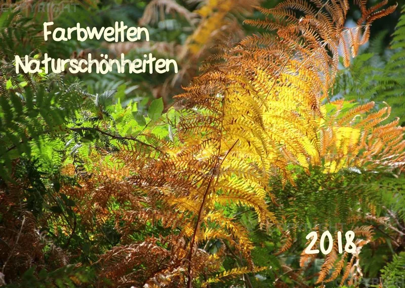 Farbwelten Naturschönheiten 2018 A4