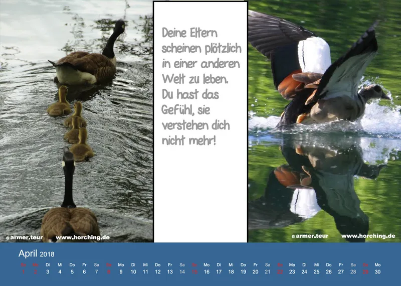 Pubertätswelten 2018 A4