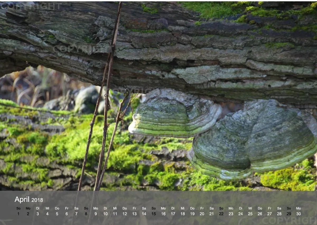 Farbwelten Naturschönheiten 2018 A4