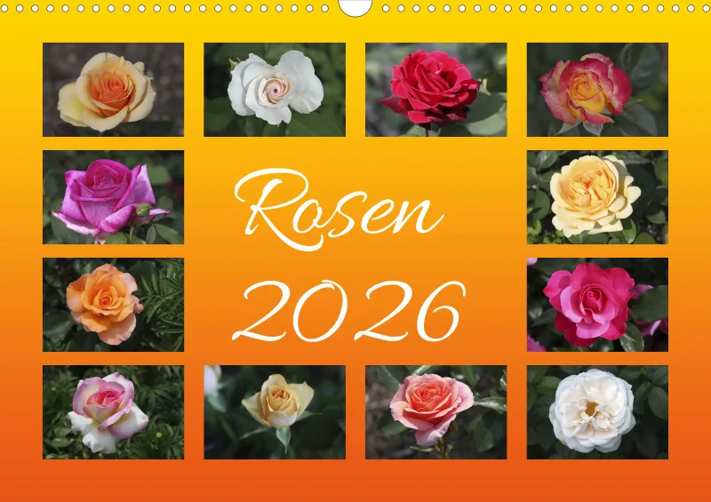 Rosenschau 2026