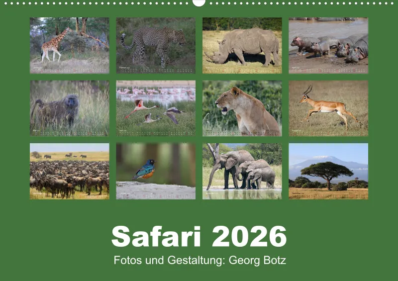 Safari 2026 (D)