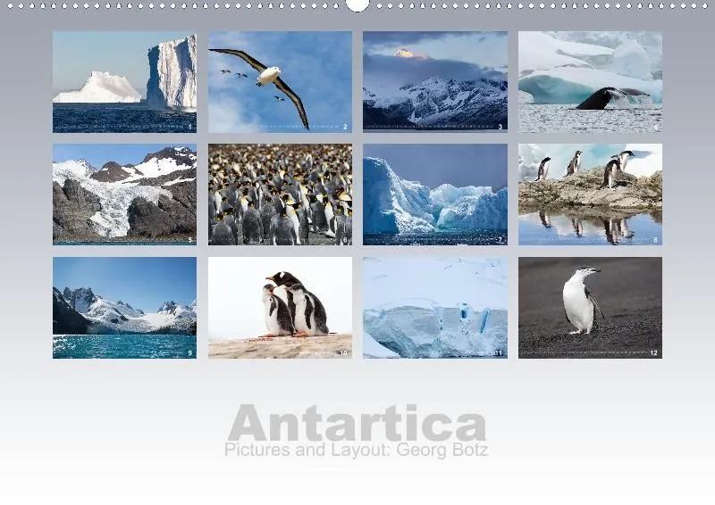 Antarctica (perpetual)