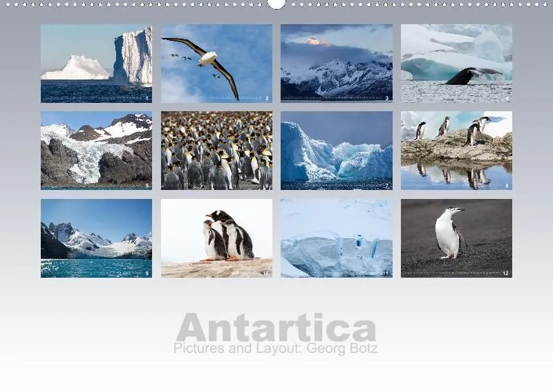 Antarctica (perpetual)