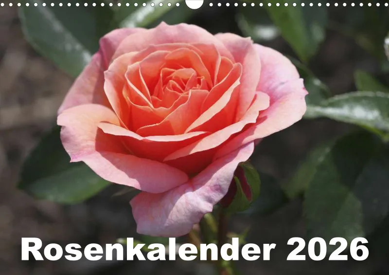 Rosen 2026 (D)
