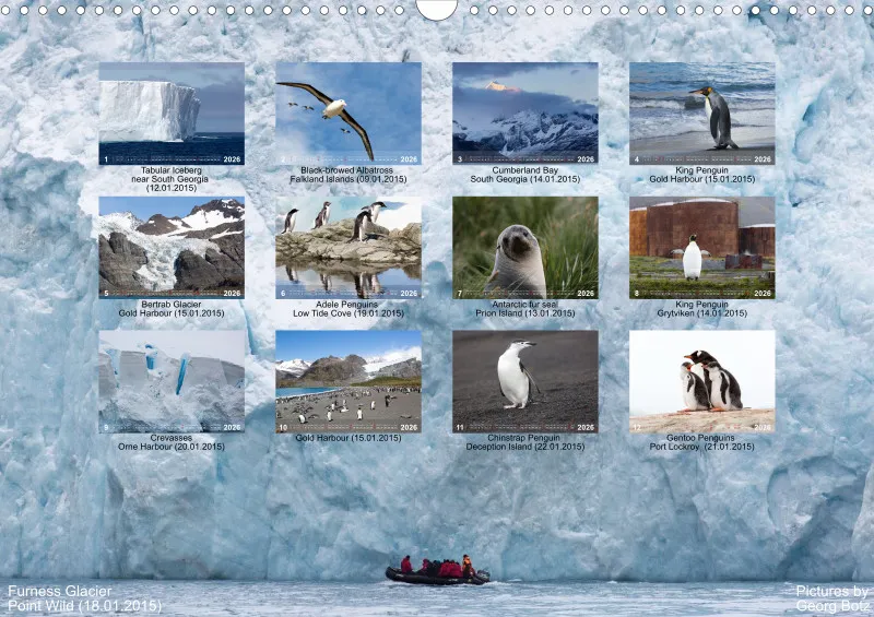 Antarctica 2026 (UK)