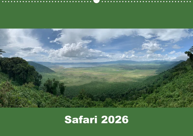 Safari 2026 (D)