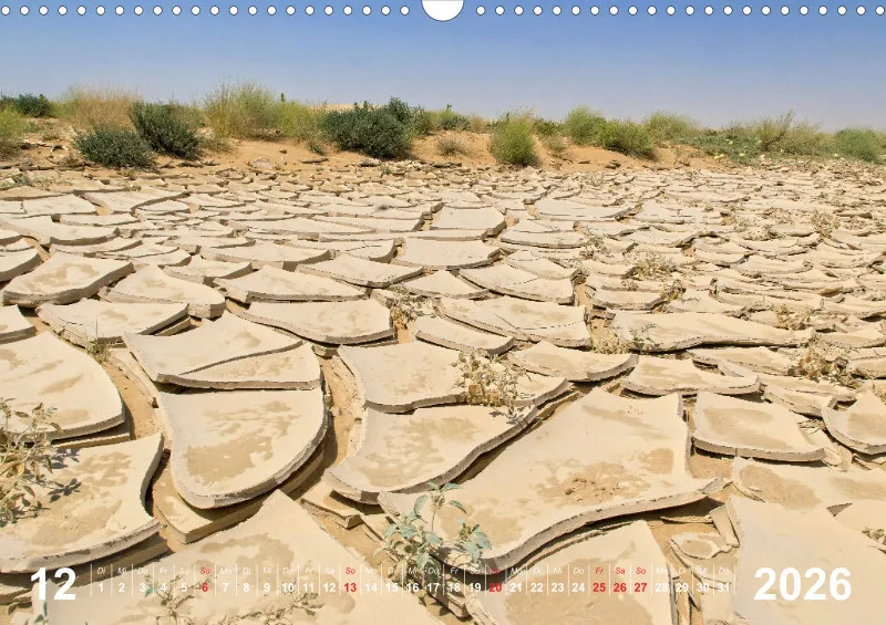 Oman 2026 (D)