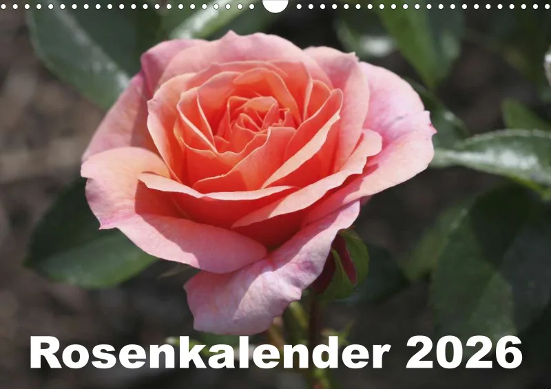 Rosen 2026 (D)