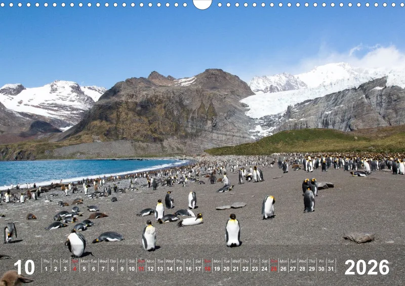 Antarctica 2026 (UK)