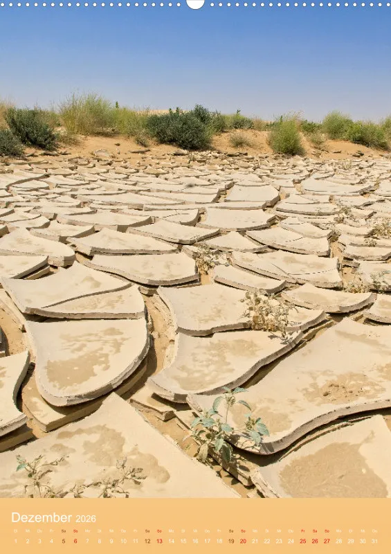 Oman 2026 (D)