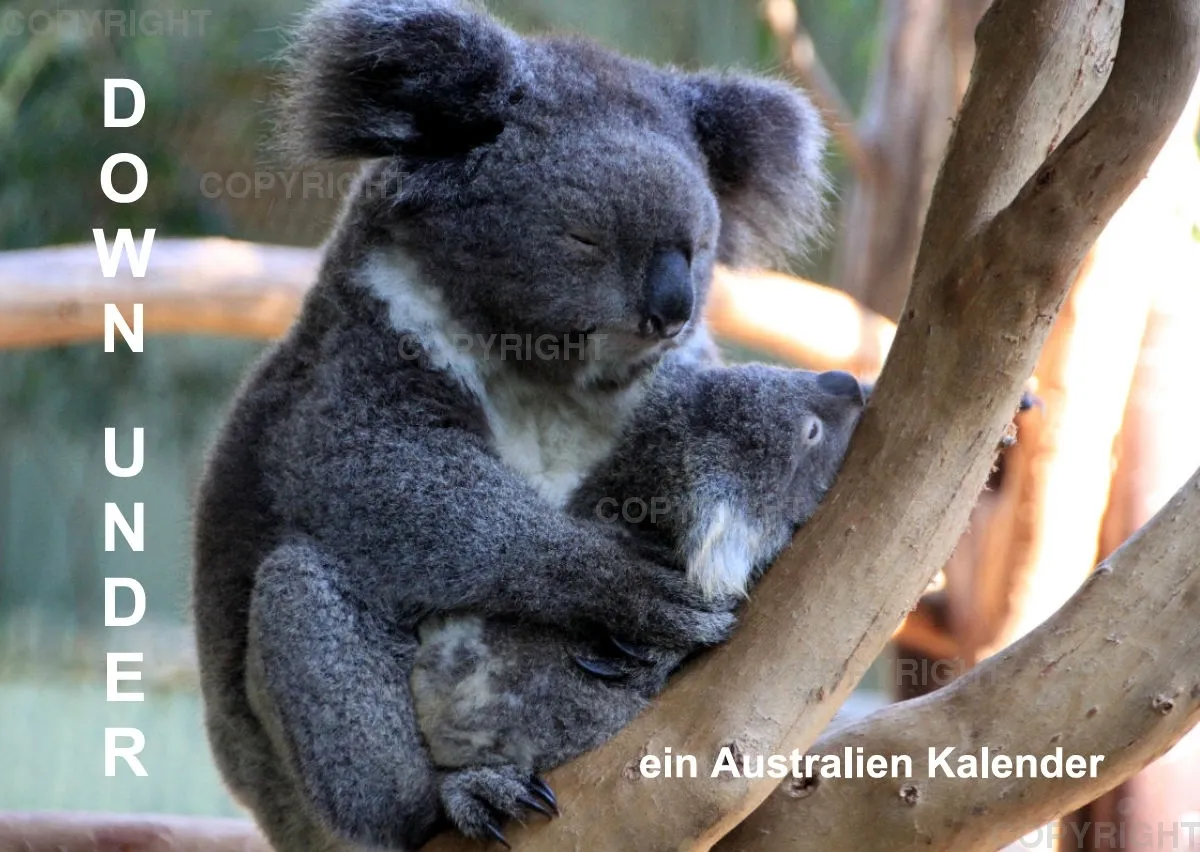 Down Under, ein Australien Kalender 2020 (A2 quer)