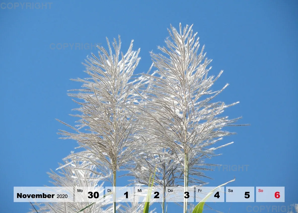 Blumen / Nr. 1 Tisch