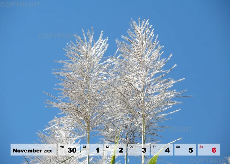 Blumen / Nr. 1 Tisch