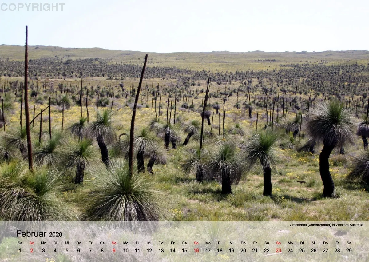 Down Under, ein Australien Kalender 2020 (A2 quer)