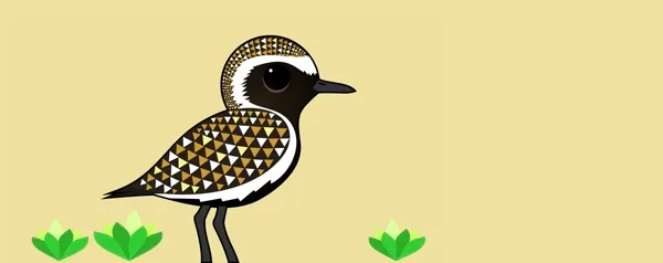 birdimagency.com